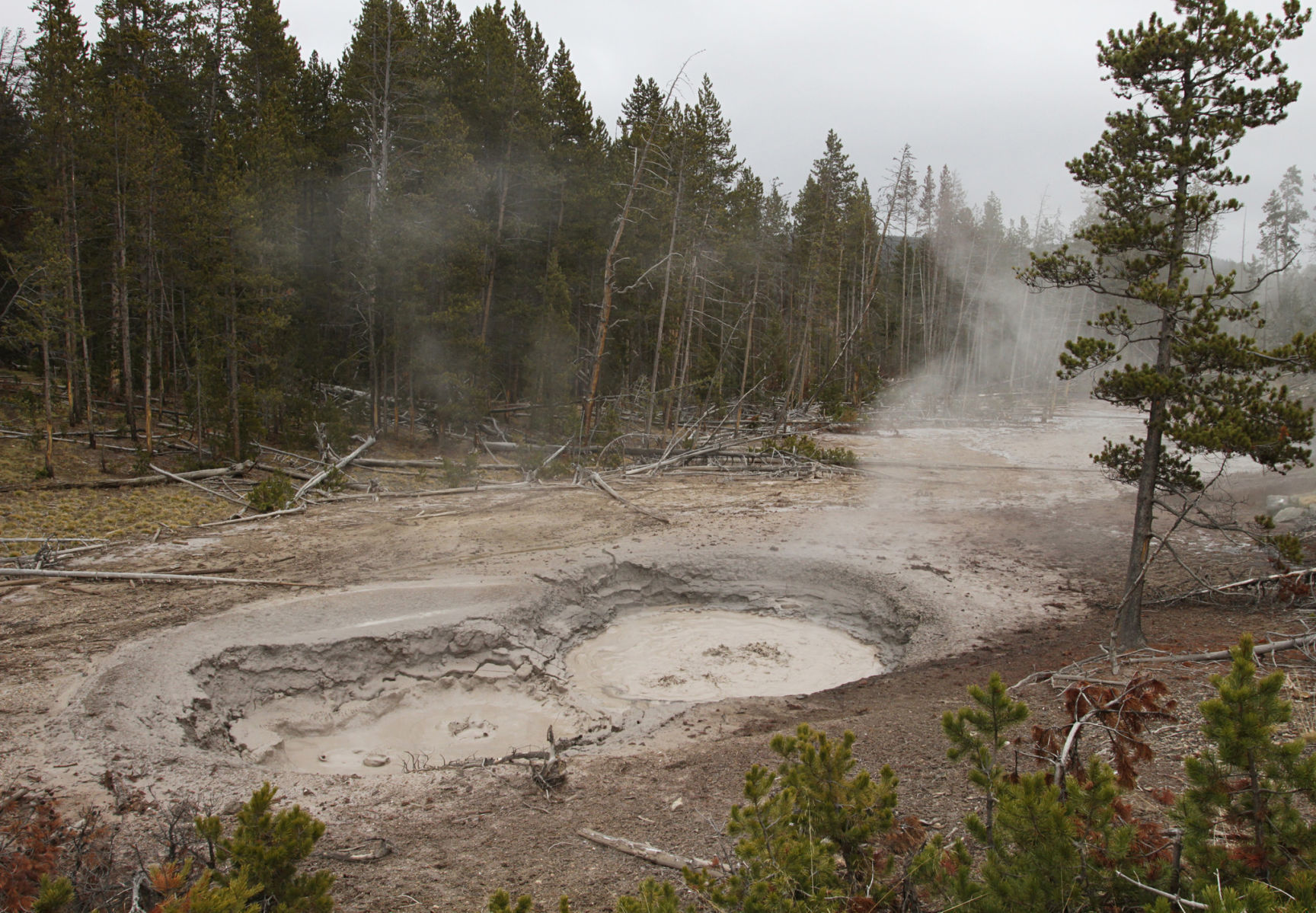 Mudpots in Mud Volcano area